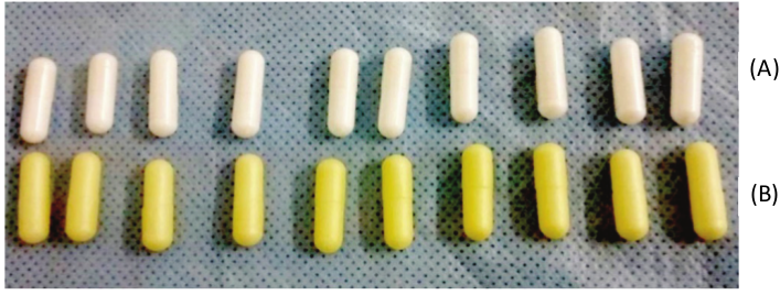 Glutamine capsules without (A) and with (B) enteric coating.