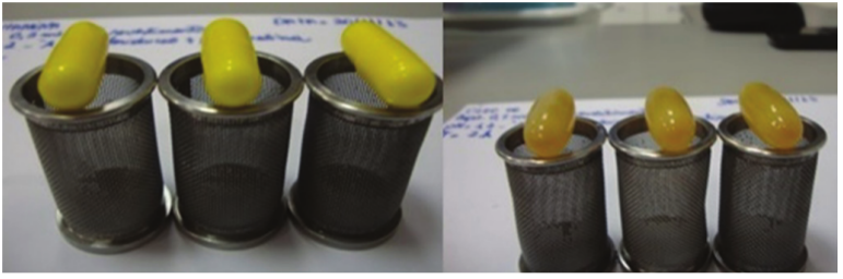 Glutamine and palm oil capsules coated with 0.2 mL of 6.5% Eudragit cm-2 from the first stage of disintegration in hydrochloric acid (pH = 1.2), with a test time of 2 hours.