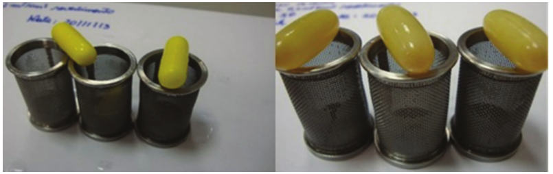Glutamine and palm oil capsules coated with 0.2 mL of 6.5% Eudragit cm-2 after the second stage of disintegration in phosphate buffer at pH 6.0, with a test time of 3 hours.