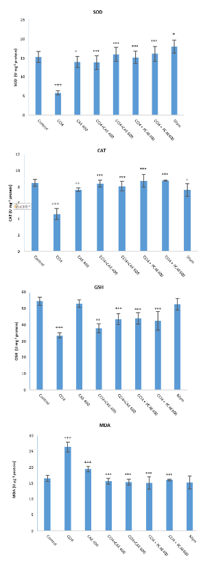 Figure 2. Effect of CAE on CCl4-induced oxidative stress. Data were stated as mean ± SEM and test of significance was achieved using Student t-test with significant differences at p < 0.05, p < 0.01 and p < 0.001 as shown for (+), (++) & (+++) in comparison with normal control and for (*), (**) & (***) in comparison with CCl4 group, respectively.