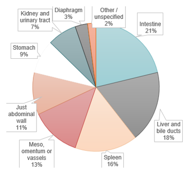Figure 1. Distribution of the most frequently injured organs in cases of abdominal trauma in the studied polytrauma patients.