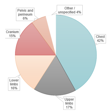 Figure 2. Distribution of the most frequently injured body regions in cases of extra-abdominal trauma associated with abdominal trauma in the studied polytrauma patients.