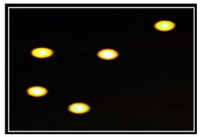 Figure 2. Representative photograph of Comet morphology showing DNA migration pattern in liver cells of rats stained with ethidium bromide. Comet morphology of the control group of rats showing Grade 0 represents no damage (%tail DNA <5%).