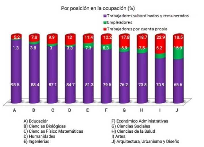 Porcentaje de posición en la ocupación por área profesional.