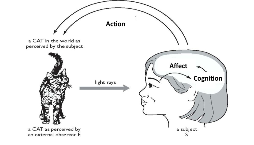 A Teoria Projetiva da Consci�ncia (Velmans, 1990; Pereira Jr., 2018) sustenta que objetos intencionais como gatos ou dinheiro s�o proje��es afetivas de representa��es mentais em um referente f�sico ou informacional.