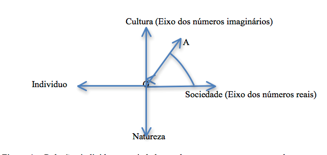 Rela��es indiv�duo - sociedade e cultura - natureza representada em um diagrama plano dos n�meros complexos com composi��o vetorial.