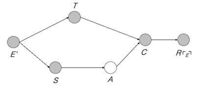 Figure 5. &lsquo;Non-appropriate&rsquo;, testimonial causation in memory.