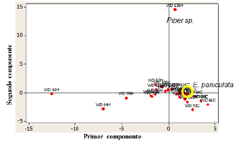 Biplot obtenido
del an&aacute;lisis de componentes principales (PCA) a partir de los datos obtenidos
por el m&eacute;todo de cuadr&iacute;cula