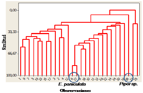 An&aacute;lisis de conglomerados de extractos
etan&oacute;licos de especies de la familia Lauraceae empleando el m&eacute;todo de cuadr&iacute;cula