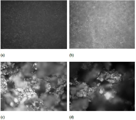 Micro-analytical images of mild steel after corrosion study with VTU mixture (a)
4X, (b) 10X, (c) 40X, (d) 100X.