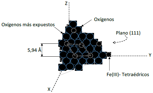 Sitios activos expuestos en el plano (111) de la superficie de la magnetita (Fe3O4),
de acuerdo a la información de Rim et al. (25).