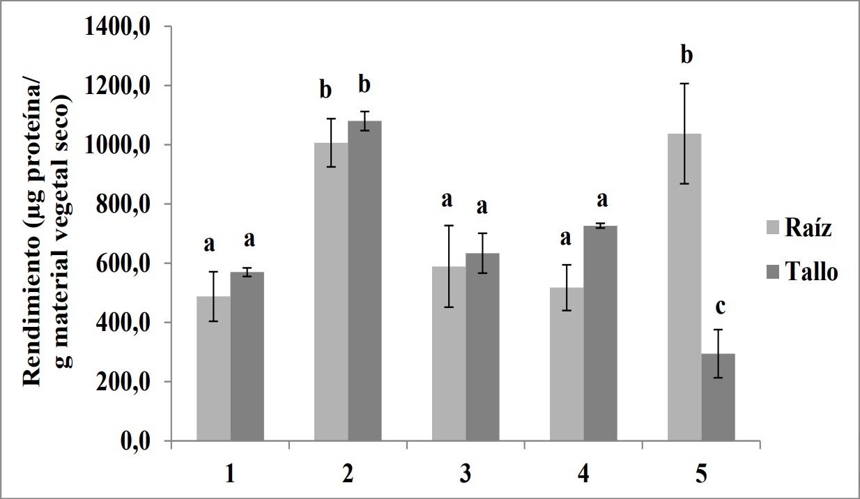Rendimiento en la obtenci&oacute;n de prote&iacute;nas presentes en fluido apopl&aacute;stico de tallos
y ra&iacute;ces de clavel variedad Gran Slam: empleando las soluciones de infiltraci&oacute;n 1-5. Las barras
verticales representan la desviaci&oacute;n standard de cada promedio zn = 3M. Los valores para cada
variedad y cada determinaci&oacute;n que presentan diferente letra: presentan diferencias
significativas zp <0:05M