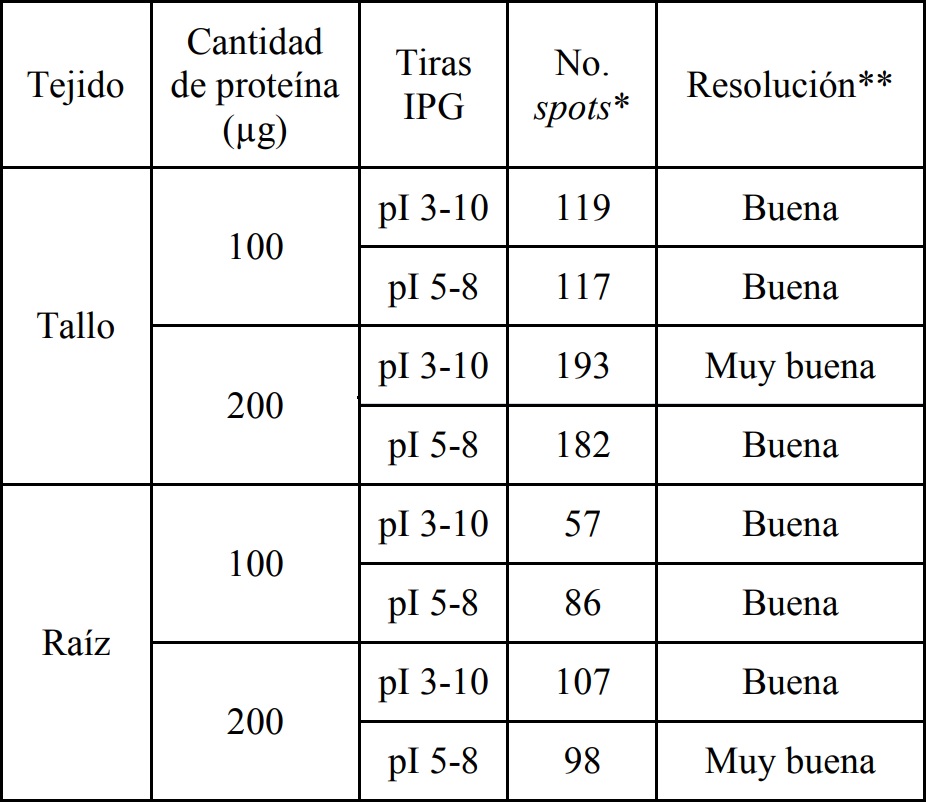 Condiciones de an&aacute;lisis para la separaci&oacute;n en 2D de prote&iacute;nas de fluido apopl&aacute;stico
de tallos y ra&iacute;ces de clavel variedad Golem
