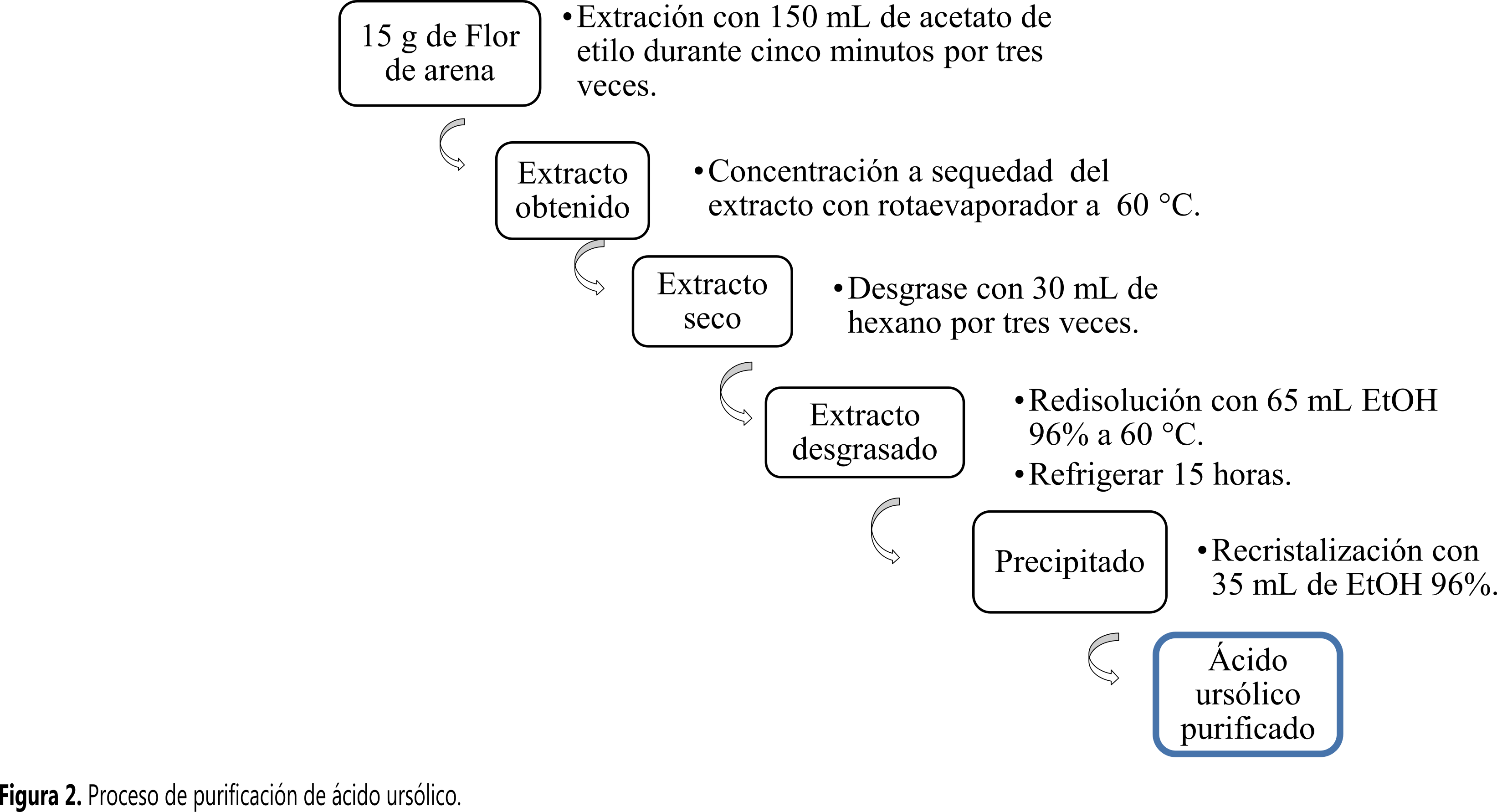 Proceso de purificaci&oacute;n de &aacute;cido urs&oacute;lico.