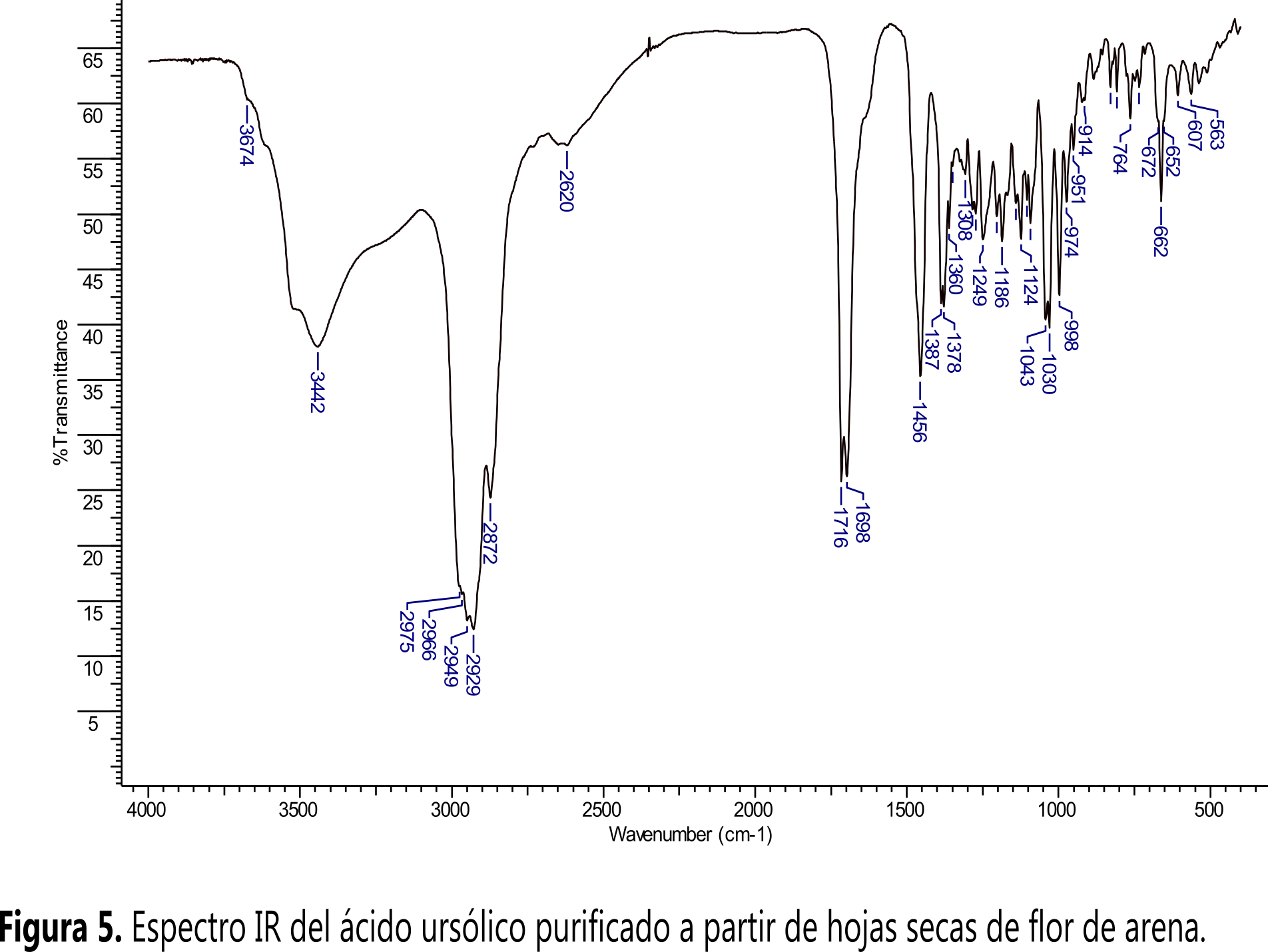 Espectro IR del &aacute;cido urs&oacute;lico purificado a partir de hojas secas de flor de arena.