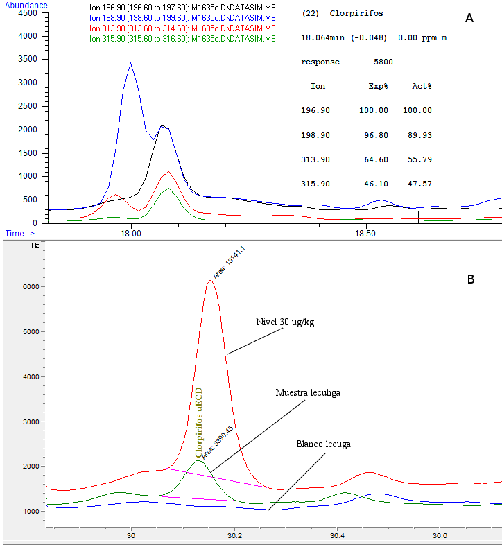 Identificación de clorpirifos en lechuga por metodo screening (A) y
método cuantitativo (B)