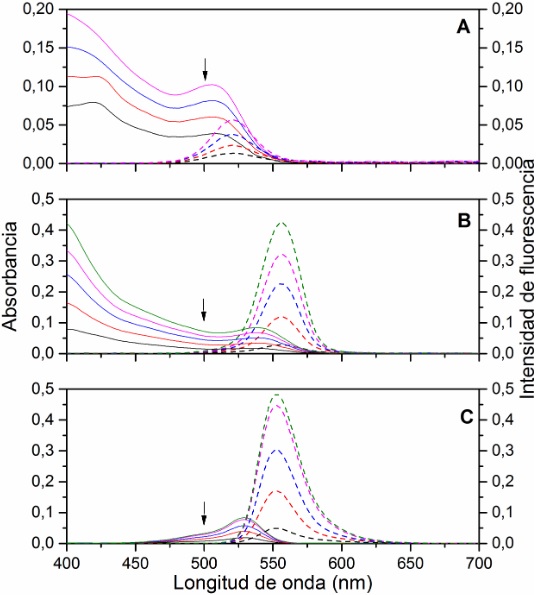 Espectros de absorci&oacute;n (l&iacute;nea solida) y de fluorescencia (l&iacute;nea punteada) (λexc = 500 nm,
indicada por la flecha) de (A) CdSe (B)
CdSe/ZnS (C) rodamina 3G