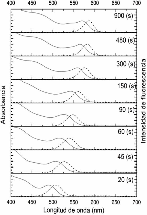 Espectros de absorci&oacute;n UV-Vis
(l&iacute;nea solida) y de fluorescencia (l&iacute;nea punteada) de los nanocristales de CdSe
obtenidos atmosfera de N2 y disueltos en tolueno en funci&oacute;n del
tiempo de reacci&oacute;n, en segundos (s). Emisi&oacute;n medida por excitaci&oacute;n a 405 nm
