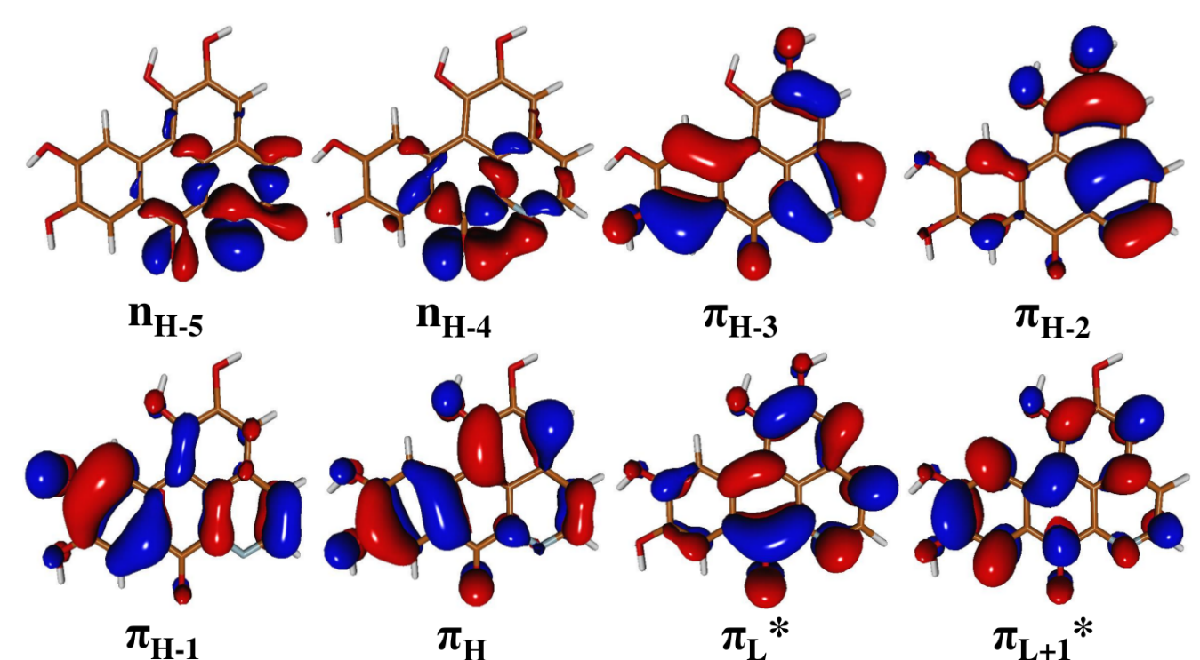 Orbitales moleculares de frontera
obtenidos con el nivel de teor&iacute;a BHLYP/TZVP
del m&iacute;nimo global de oxoglaucina sin grupos metilo