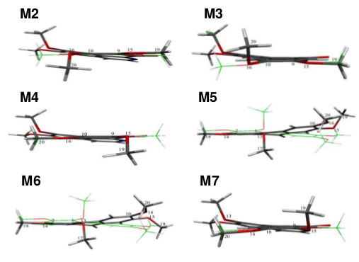 Superposici&oacute;n de la geometr&iacute;a del m&iacute;nimo global (M1) y la geometr&iacute;a de los
m&iacute;nimos locales de oxoglaucina. La representaci&oacute;n de l&iacute;neas (de color verde, blanco y rojo) corresponde al m&iacute;nimo global mientras
que la representaci&oacute;n licorice a los
m&iacute;nimos locales