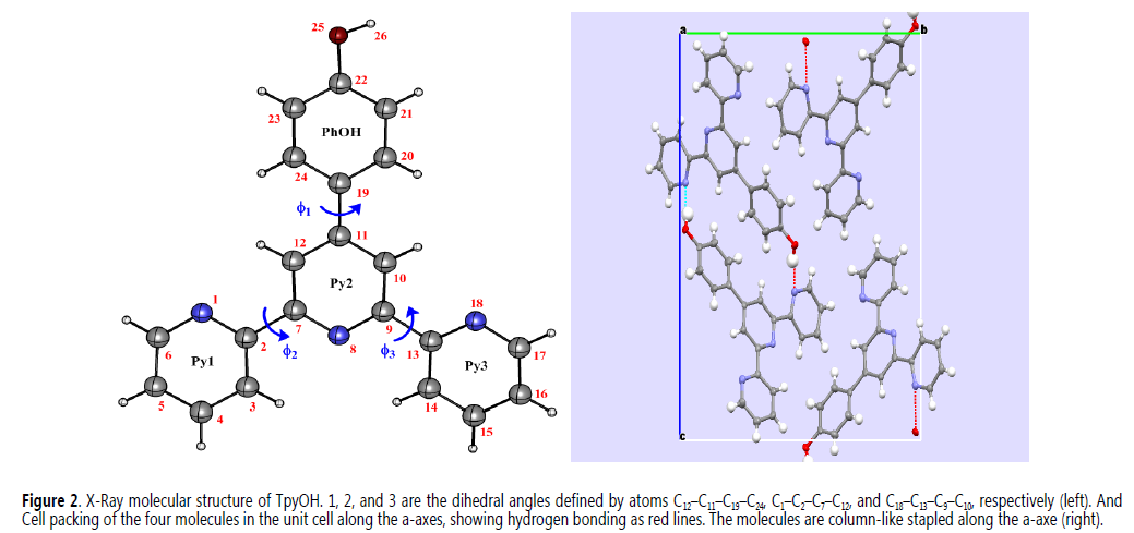 X-Ray molecular structure of TpyOH. f1, f2, and f3 are the dihedral angles
defined by atoms C12–C11–C19–C24, C1–C2–C7–C12,
and C18–C13–C9–C10, respectively
(left). And Cell
packing of the four molecules in the unit cell along the a-axes, showing
hydrogen bonding as red lines. The molecules are
column-like stapled along the a-axe (right)