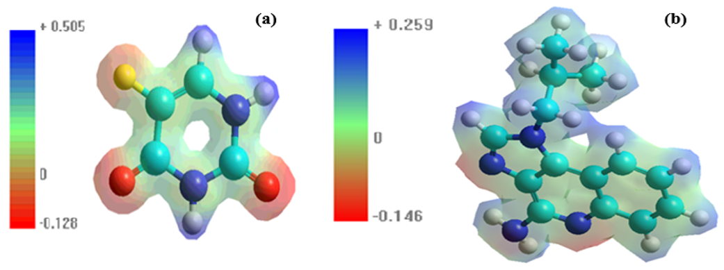 Figure 1. MESP of (a) 5FU and (b) Imiquimod by AMBER/PM3 hybrid model. 

 
