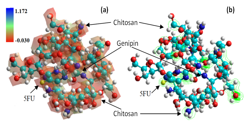 Figure 4. Maps
of5 FU adsorption on chitosan hydrogel in where, (a) MESP and b) Surface energy
respectively.