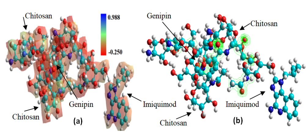 Figure 5. Maps
of Imiquimod adsorption on chitosan hydrogel in where, (a) MESP and b) Surface
energy respectively.