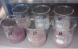 Figure 5. RB5 decolorization after 10 h, under the conditions of assays 16 to 21.