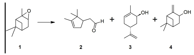 Figura 1.  Isomerizaci&oacute;n del ep&oacute;xido de α-pineno 1: aldeh&iacute;do canfol&eacute;nico 2, trans-carveol
3 y pinocarveol 4.