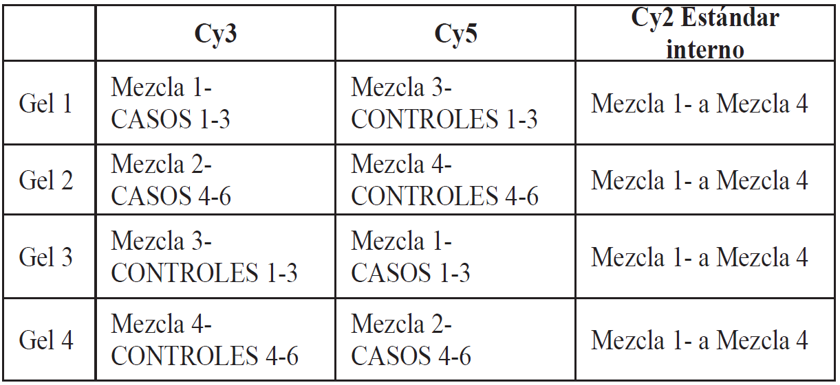 Tabla 2. Diseño experimental para estudio comparativo por
análisis DIGE.