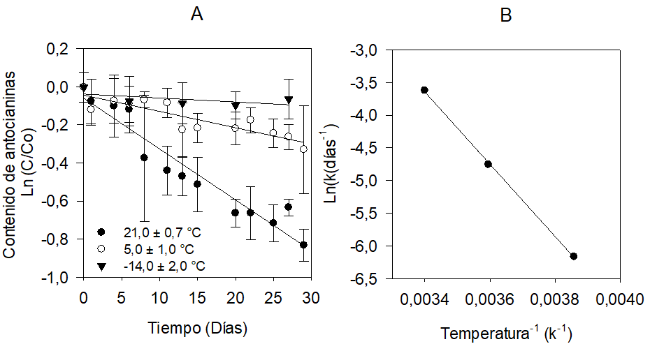  Degradación de antocianinas
  del extracto de epicarpio de gulupa a 21,0 ± 0,7 °C, 5,0 ± 1,0 °C y -14,0 ±
  2,0 °C, 1B. Linealización de
  Arrhenius entre la temperatura de almacenamiento y la tasa de degradación del
  extracto de epicarpio de gulupa.
  
 


