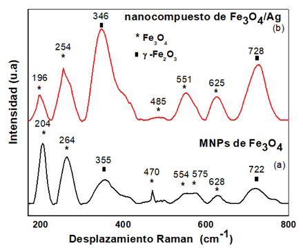  Espectro Raman (a) MNPs de Fe3O4 y (b) nancompuesto
de Fe3O4/Ag.