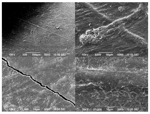 Figura 22. Micrograf&iacute;as SEM de PLA procesado PLA-PEG al 9,9%.