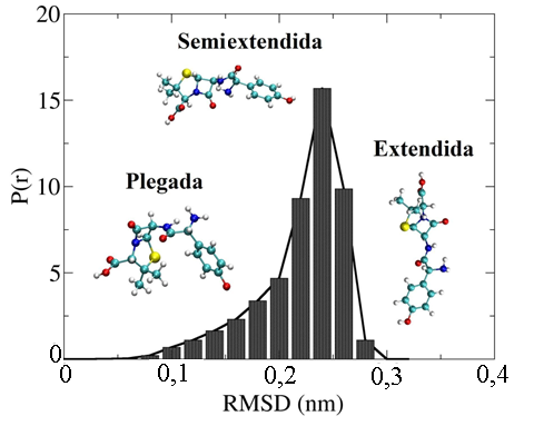 Distribuci�n de probabilidad para el RMSD de la amoxicilina en agua obtenido con la simulaci�n de din�mica molecular. 20000 conformaciones espaciales fueron obtenidas para la amoxicilina. Este valor de RMSD fue determinado usando una conformaci�n plegada de la amoxicilina.