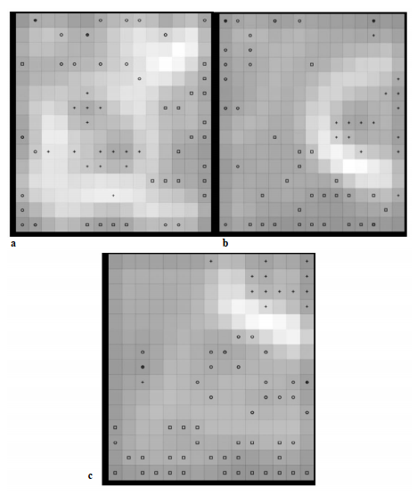 Mapas autoorganizados de Kohonen entrenados con los descriptores resultantes de la selecci�n por: a. An�lisis de componentes principales, b. Bosques aleatorios y c. BorutaShap. Las neuronas que presentan un color m�s claro tienen una menor activaci�n y constituyen las fronteras entre los grupos ⭘ Ruta del �cido shik�mico, + Ruta de los �cidos grasos, ☐ Ruta del �cido ac�tico. N�tese que algunas mol�culas pertenecientes a rutas distintas activan una misma neurona
