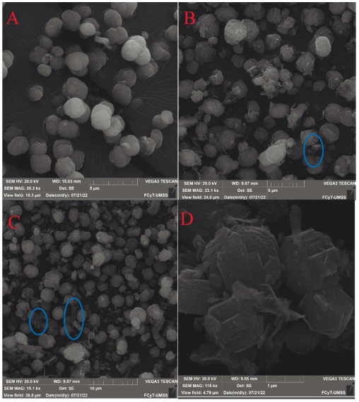 SEM micrographs of ZSM-5 zeolites with: A) Si/Al=40.2 B) Si/Al=37.5 C) Si/Al=12.6 and D) Additional zoom on the surface of ZSM-5 with Si/Al=40.2.