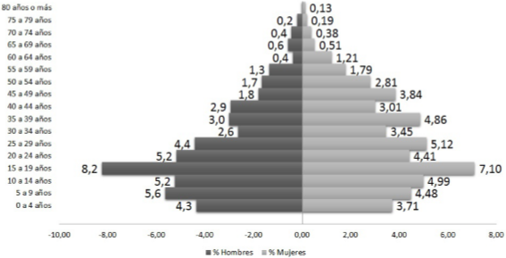  Composición de la población que reside en las
VIP, Medellín, 2008-2013.
