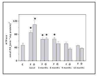 Mitochondrial ATPase activity in patients receiving fish oil (F) or olive oil (O) as a dietary supplement, at each experimental time and of individuals in the control group (C). *p &le; 0.05.