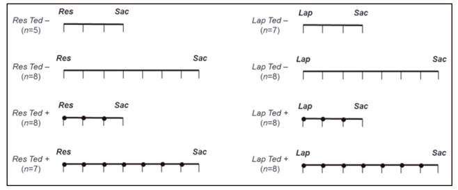 Study design. Adult male Wistar albinus rats were randomly distributed into four groups: "ileal resection" ("Res") versus "laparotomy" ("Lap"), each one subdivided into "postoperative teduglutide administration" ("Ted +") versus "no treatment" ("Ted -"). Evaluation was performed at the moments of the operation and sacrifice (Sac), at the third or the seventh postoperative day (eight subgroups), with ileal segment harvesting and blood collection. Baseline values of "ileal resection" groups were considered for comparison with postoperative results of the "laparotomy" groups; tissue samples recovered at the sacrifice in those animals corresponded to the perianastomotic segments. &bull; Teduglutide administration.