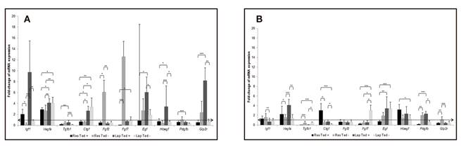 Fold-changes of relative gene expression of growth factors and Glp2 receptor in the rats' ileum, at the third (A) and the seventh (B) days after operation determined by qRT-PCR. Animals (n = 59) were submitted to ileal resection and anastomosis ("Res") or laparotomy ("Lap") and sacrificed at the third or at the seventh postoperative days; in groups "Res Ted +" and "Lap Ted +", teduglutide was administered after the operation. Samples recovered at the sacrifice from rats that underwent ileal resection corresponded to the anastomotic segment. Values were normalized to Hprt gene and fold-changes were generated by comparing with baseline values of rats submitted to ileal resection (n = 28). Results were expressed as median&plusmn;interquartile range. Kruskal-Wallis test with pairwise comparisons was used. *p < 0.05; **p < 0.01; ***p < 0.001.