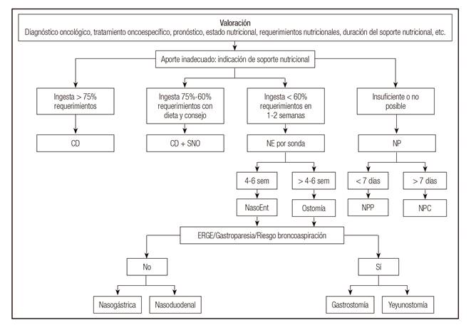 Algoritmo de soporte nutricional. Adaptado de Hern&aacute;ndez y cols. 14 (CD: consejo diet&eacute;tico; SON: suplementos nutricionales orales; NE: nutrici&oacute;n enteral; NP: nutrici&oacute;n parenteral; sem: semana; NasoEnt: nasoenteral; NPP: nutrici&oacute;n parenteral perif&eacute;rica; NPC: nutrici&oacute;n parenteral central; ERGE: enfermedad por reflujo gastroesof&aacute;gico).