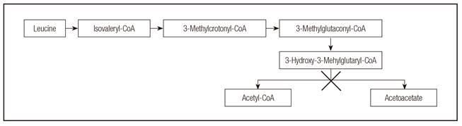 The leucine catabolic pathway in patients with HMG-CoA lyase deficiency.