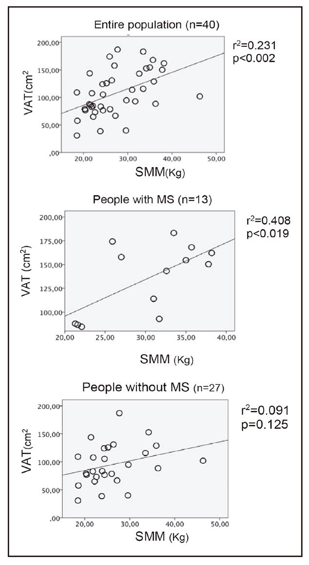 Correlation between VAT and SMM in the study groups (VAT: visceral adipose tissue; MS: metabolic syndrome; SMM: skeletal muscle mass).