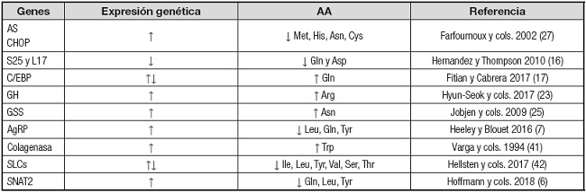Genes regulados por amino&aacute;cidos