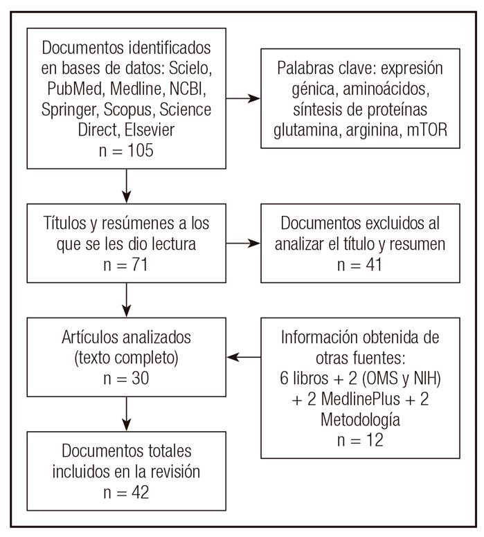 Diagrama de los documentos totales incluidos en la revisi&oacute;n.
