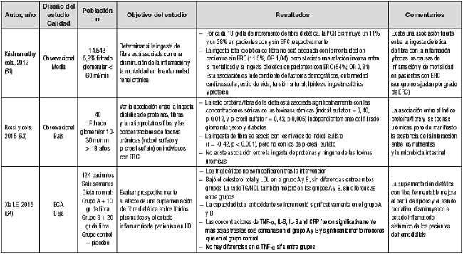 &iquest;Debemos recomendar el consumo de fibra en el paciente renal?