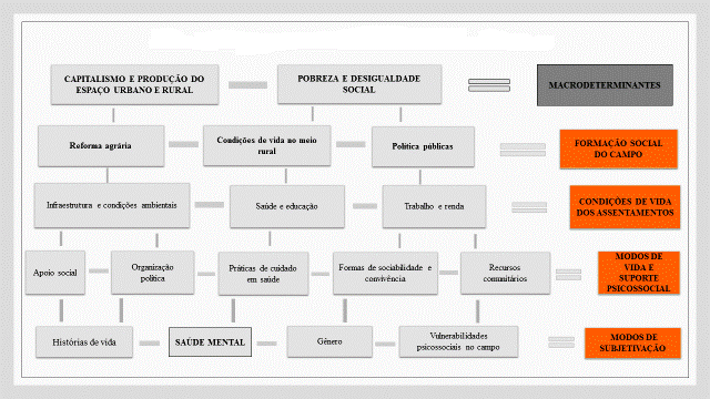 Matriz de análise - Determinação social da saúde e da vida no campo
