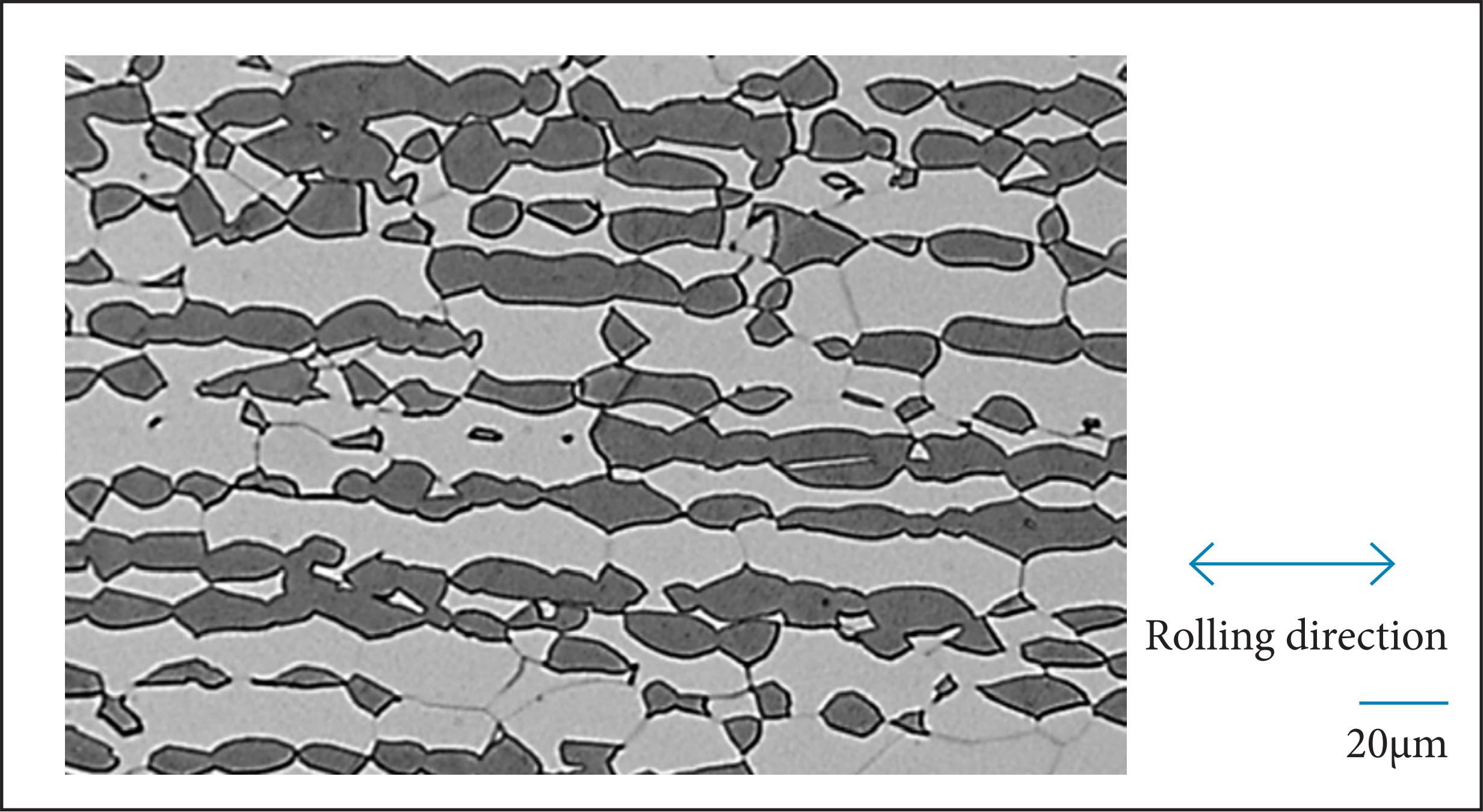 Micrograph of the sample heat-treated at 1,100 &deg;C.