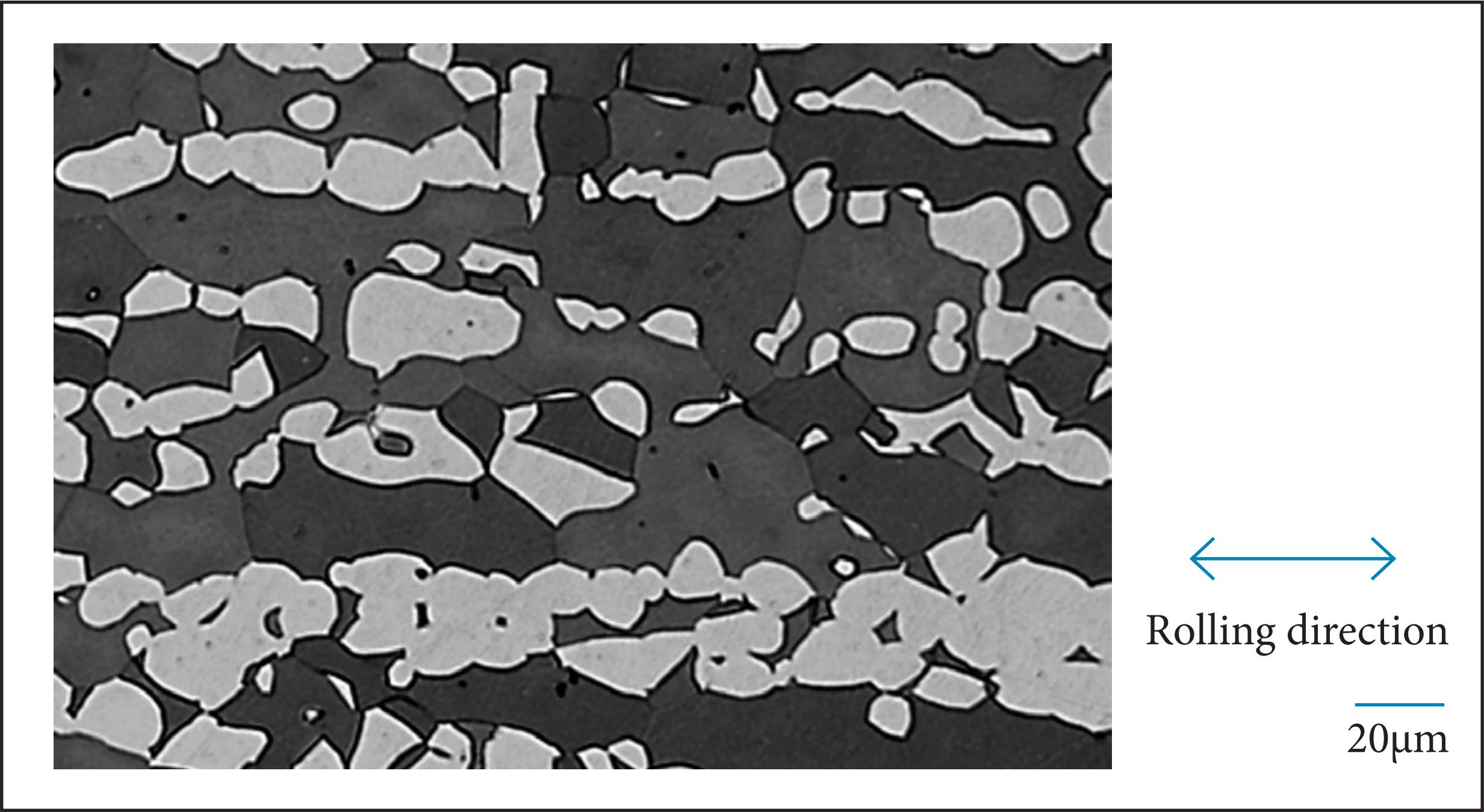 Micrograph of the sample heat-treated at 1,200 &deg;C